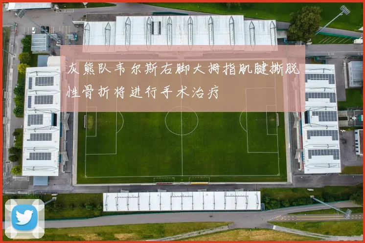 灰熊队韦尔斯右脚大拇指肌腱撕脱性骨折将进行手术治疗