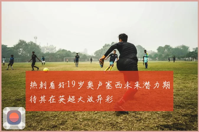 热刺看好19岁奥卢塞西未来潜力期待其在英超大放异彩